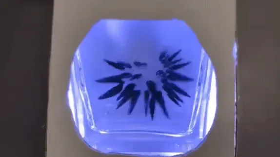 Ferrofluid Visualizer cover